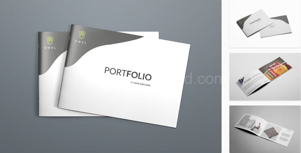 Download Leading Portfolio Layout for Modern Companies Free