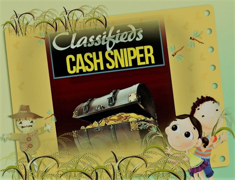 Classified’s Cash Sniper With Email Marketing Case Study