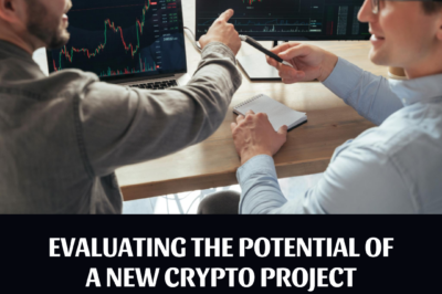 Evaluating the Potential of a New Crypto Project: A Comprehensive Guide
